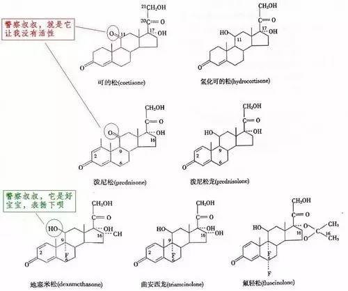 前药外用？我读书少你别骗我