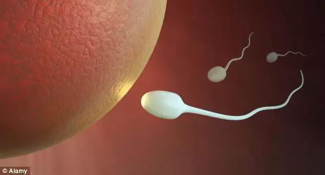 女性的生育能力在哪个部位,女性的生育力如何主要看这3点