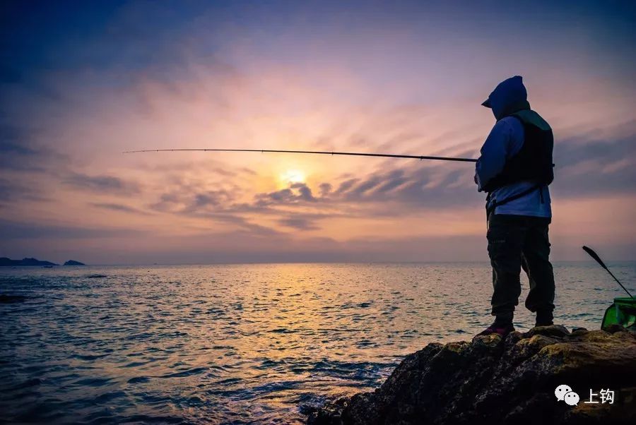 矶钓海钓诱饵笼的用法大全,冬季海钓矶钓用什么假饵最好用