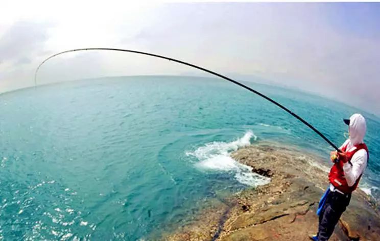 矶钓海钓诱饵笼的用法大全,冬季海钓矶钓用什么假饵最好用