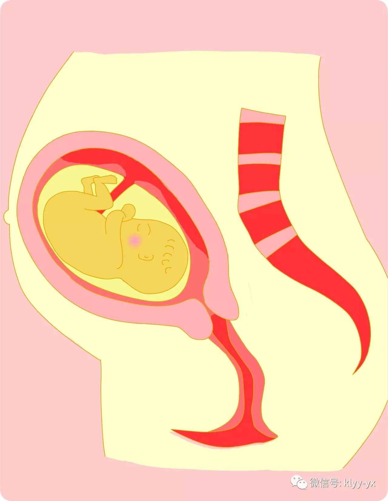 超声检测是怎么查的,超声检查你需要了解这几个问题