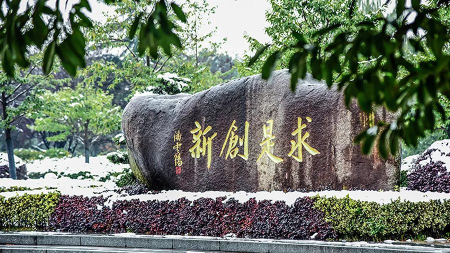 浙江大学城市学院“三位一体”全攻略