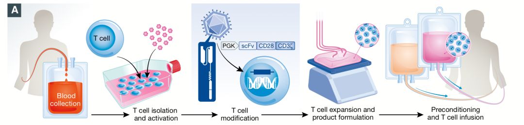 肿瘤免疫疗法最新突破,最前沿肿瘤免疫疗法