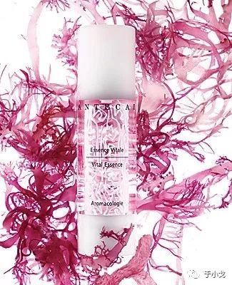 空瓶记20个产品,空瓶记一季度