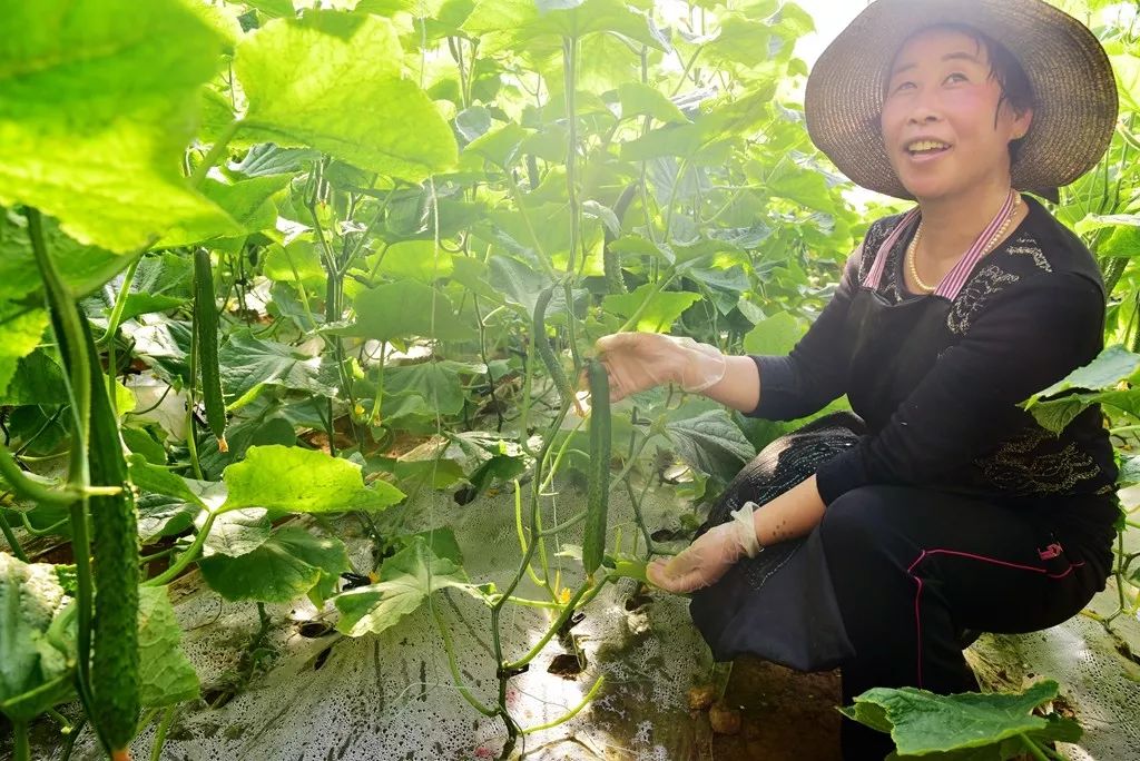 洛阳日报孟津讲了啥,洛阳日报孟津