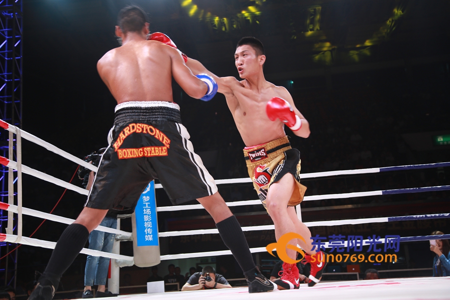 东莞市运动会2017赛程,2017年东莞体育赛事