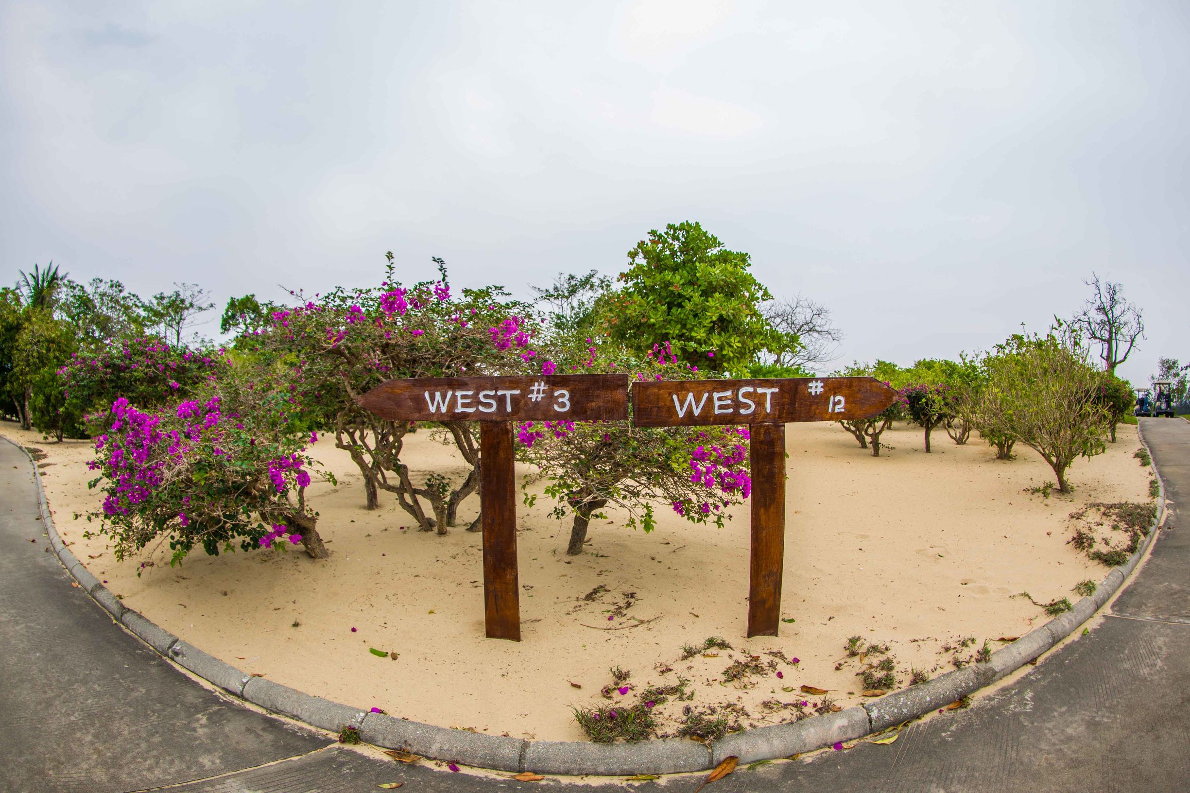 神州半岛高尔夫球场攻略,风景最美的高尔夫球场