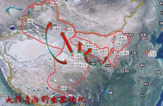 几十到几百的黑枸杞,哪种才是正宗的黑枸杞