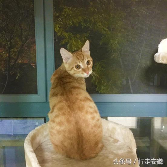 不好，“蛋蛋”有危险