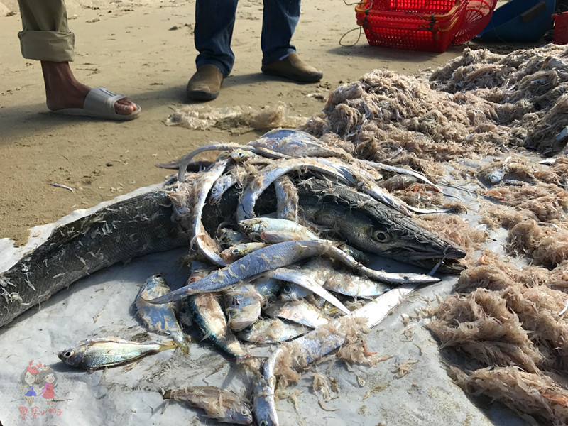 看我国仅次于死海和红海的最咸海区！吃比广东还好吃的烤乳猪！