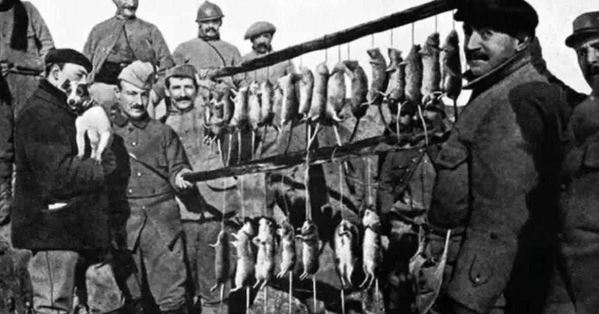 看懂一战和二战,一战二战主力武器