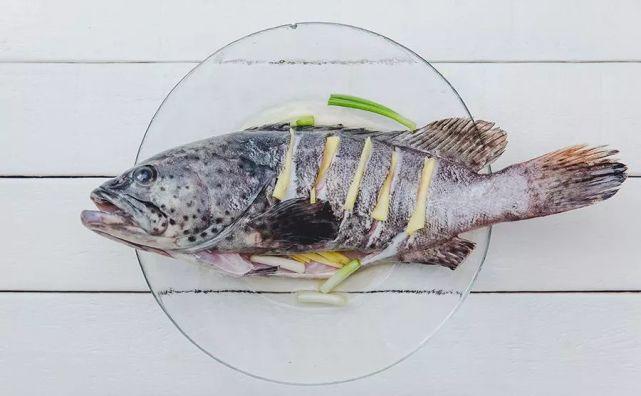 家宴上简单美味的清蒸石斑鱼,年年有余清蒸石斑鱼年夜饭
