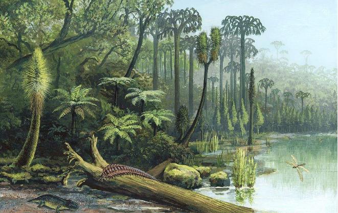 石炭纪煤炭是怎么形成的,为什么石炭纪产生煤炭