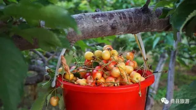 费县县城最惊艳的地方,费县有意境的地方