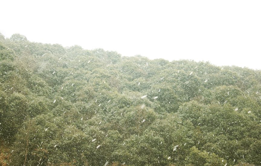 瑞雪兆丰年丨唯有执着的热爱和勇气,无惧道阻且长前路漫漫丨畊雨