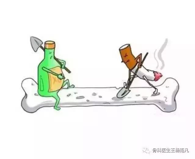 骨折愈合知识,骨折愈合的4个过程