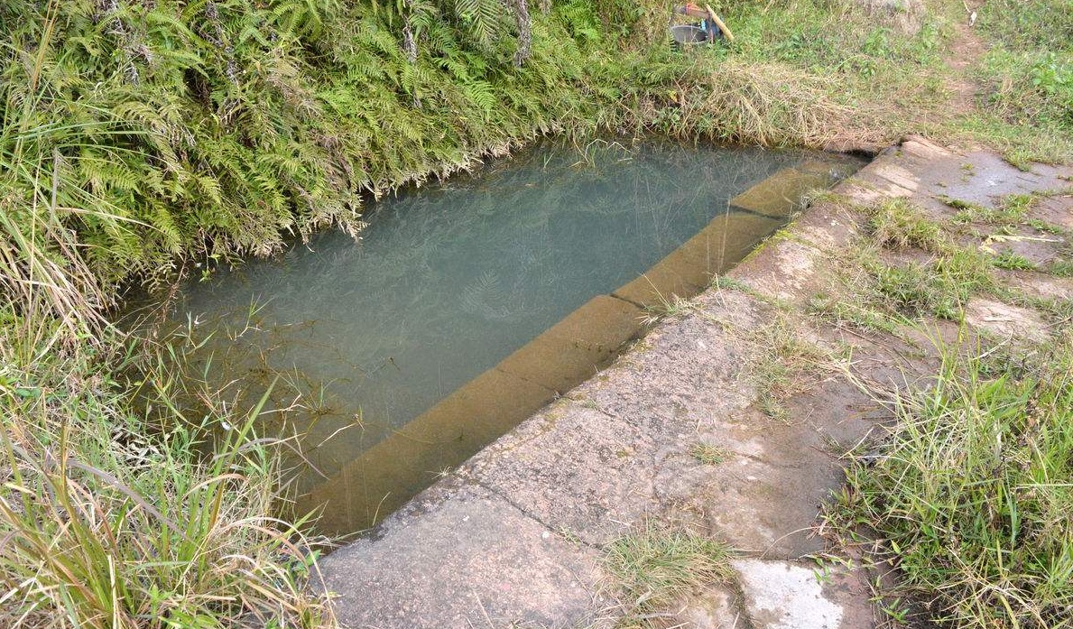 农村的水井为什么那么多水,山里为什么有鳖