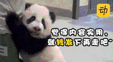 爬楼梯可做些什么运动,爬楼梯是不好的运动方式吗