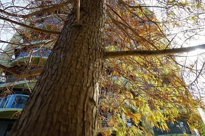 e-mount索尼,emount镜头焦段