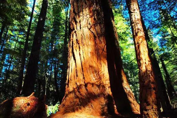 可以媲美欧洲的自驾游地区,十大适合自驾游的国家