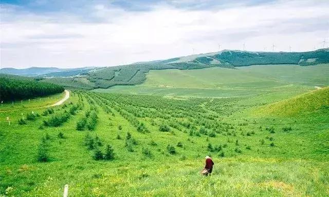 为什么河北人感觉自己是北京人,河北人为什么这么好