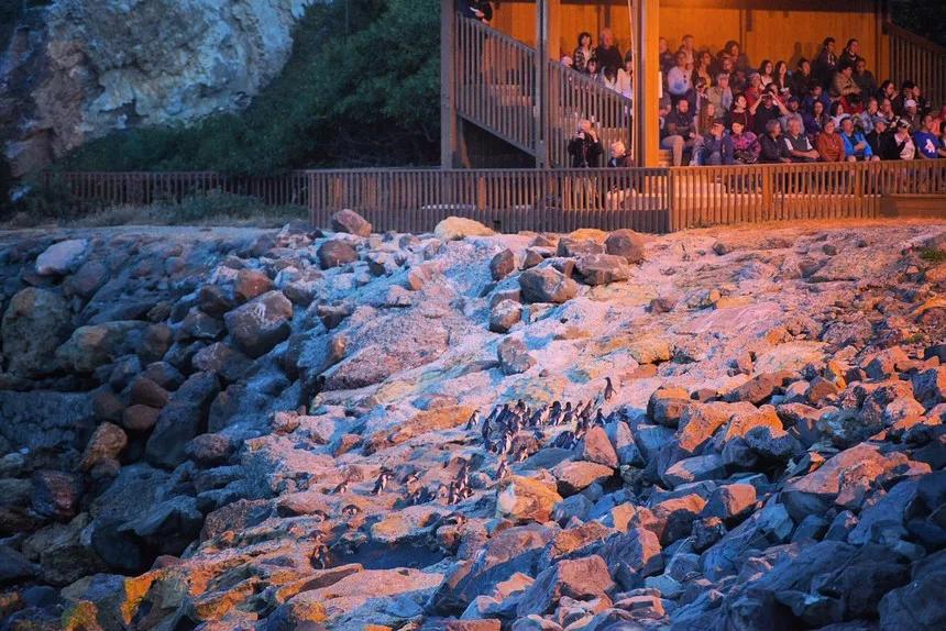 可以媲美欧洲的自驾游地区,十大最适合自驾游的国家