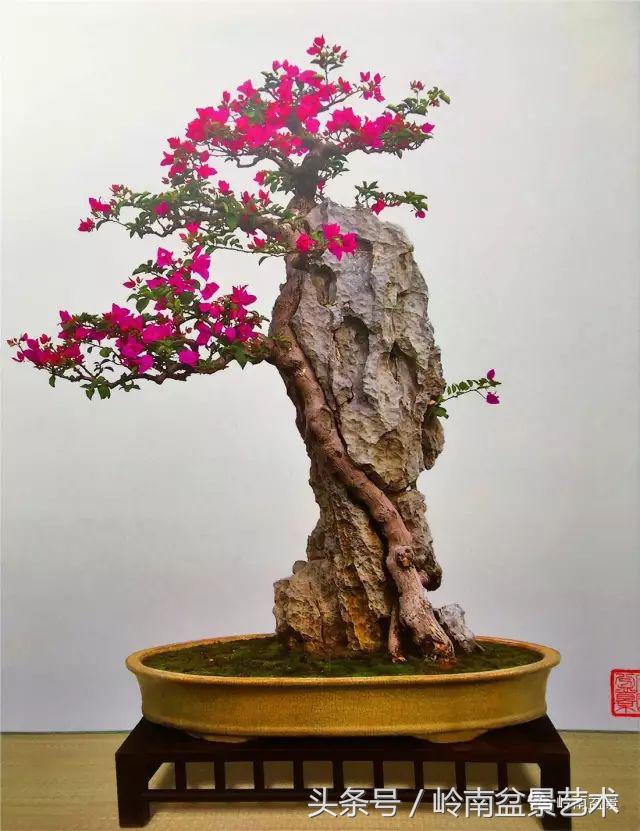 过年送礼好不好,过年送礼单数还是双数好