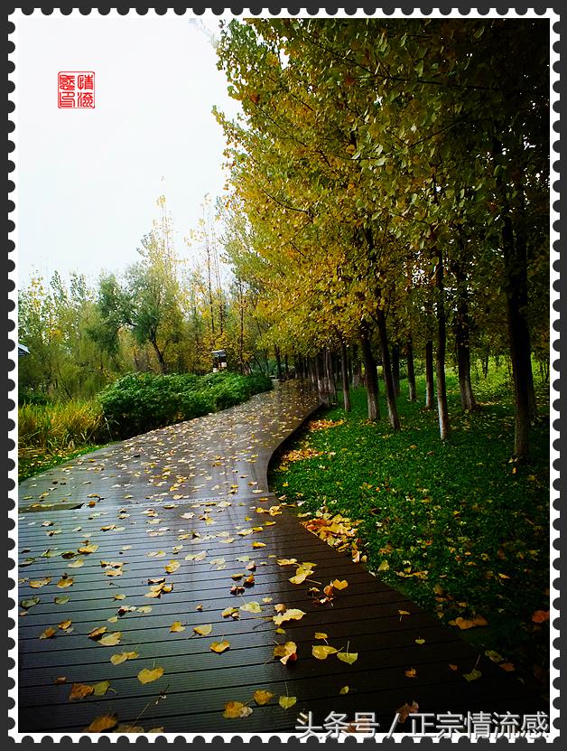 邛海公园旅游攻略,邛海旅游攻略酒村