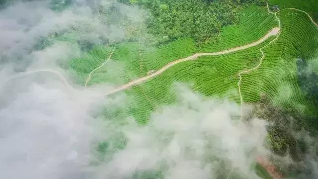 南昌自驾游攻略景点推荐一日游,南昌附近免费好玩的地方自驾游