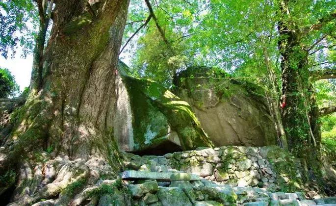 南昌自驾游攻略景点推荐一日游,南昌附近免费好玩的地方自驾游