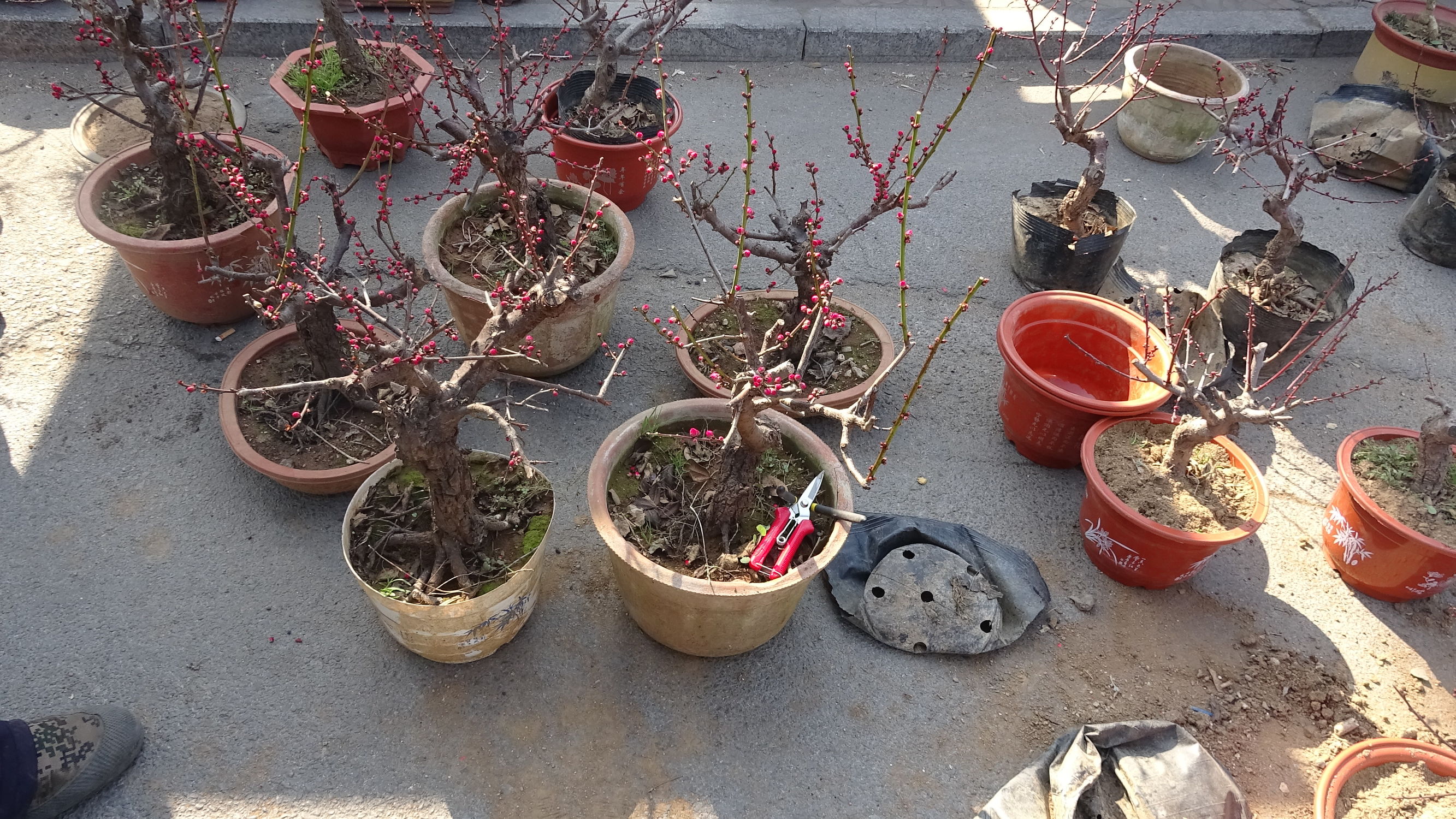 我的家乡集市,临朐县城大集