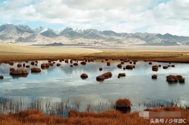 有2个浙江或6个台湾大,农民人均收入直逼上海,它就是*疆新**若羌县