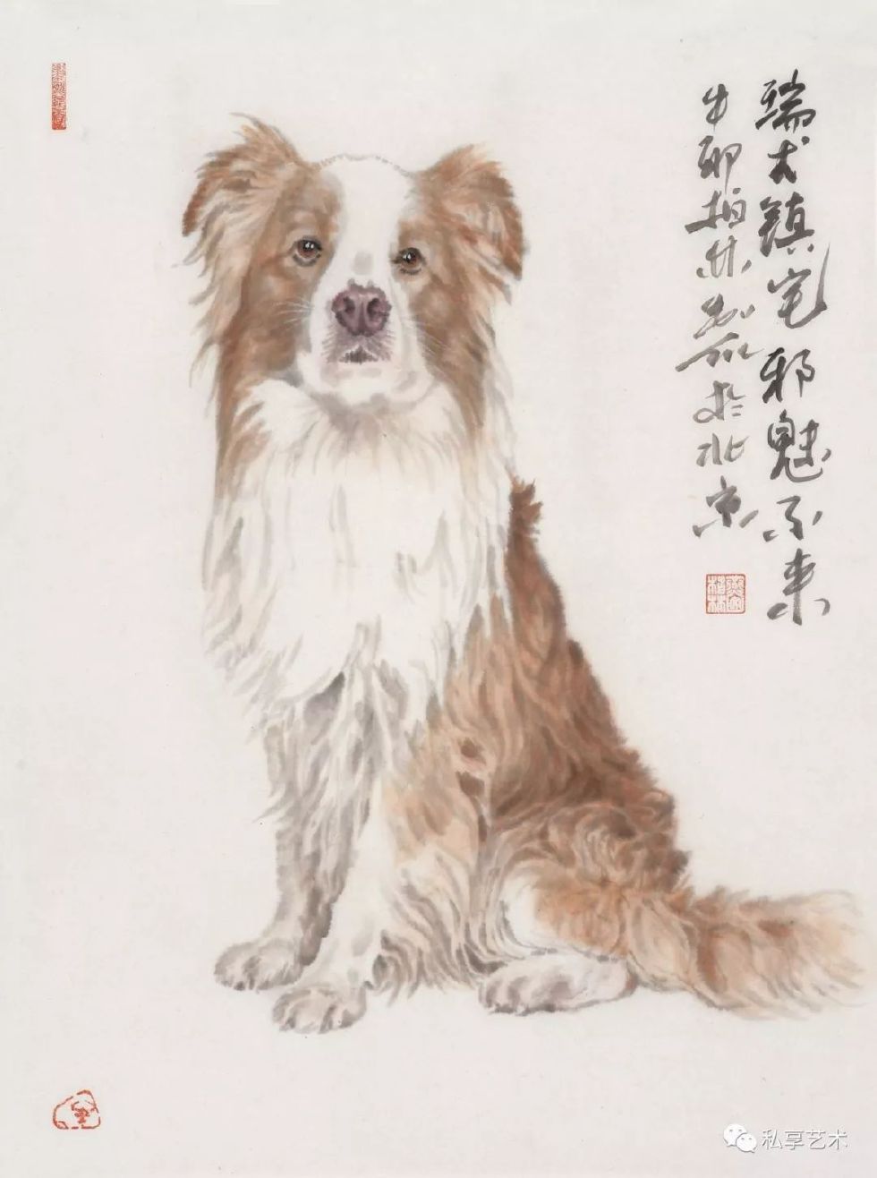 瑞犬迎春视频完整版,瑞犬迎春