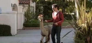 2018年赚钱的商机有哪些,利润很吓人10个冷门创业项目网赚