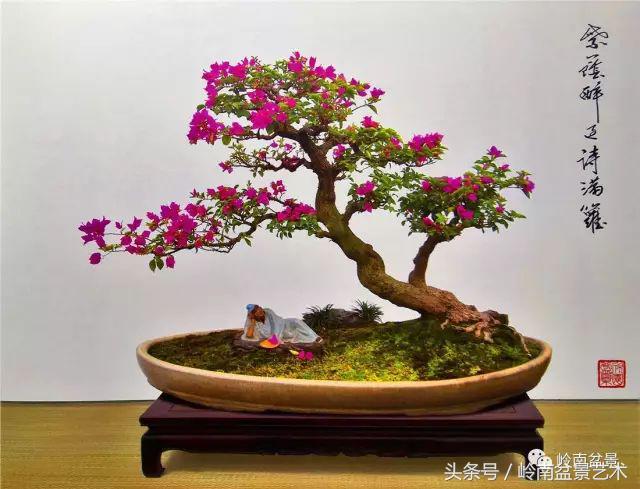 过年送礼好不好,过年送礼单数还是双数好