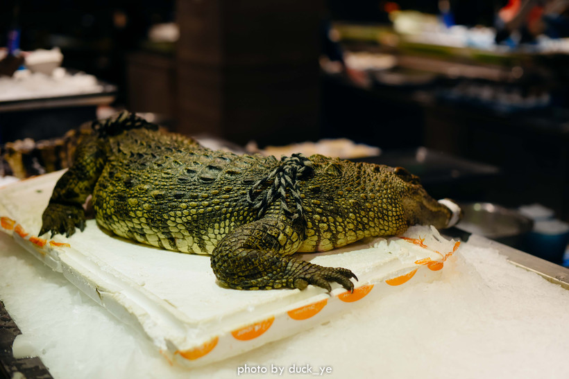 鳄鱼、娃娃鱼，300+深海臻品，人均400还满场，为什么