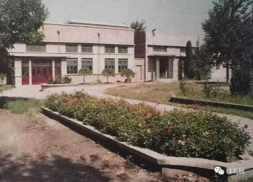 一代北辰人的记忆|只想对你说一声再见,健康路上的老体育场