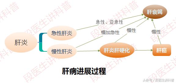 免疫性肝炎是什么病好治疗吗,十几年肝炎不治疗会有什么后果