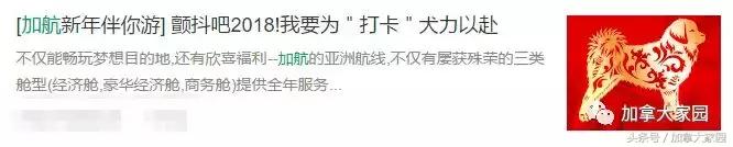 加航滑翔机事件,加航事件