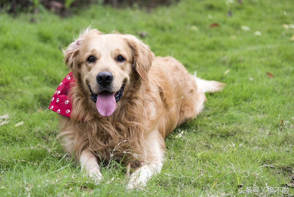 最建议买的二手东西,二手东西什么最值得买