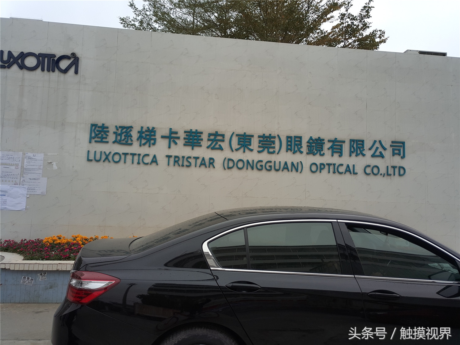 东莞市高埗镇十年前的华宏眼镜厂,高埗镇华宏眼镜厂