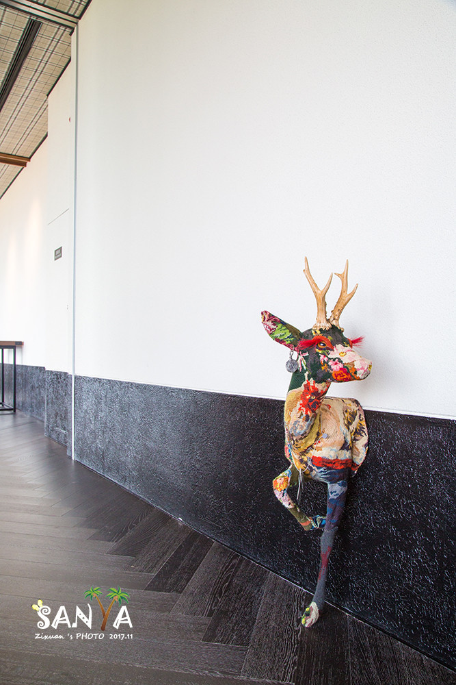 三亚离海南有多少公里,三亚一生去几次