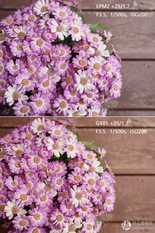 松下gx85微单价格,速度与激情85讲解