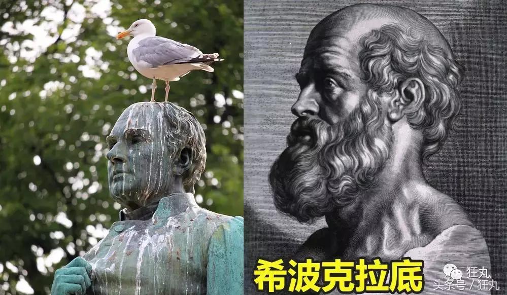 日本研究秃顶,日本教授秃头研究