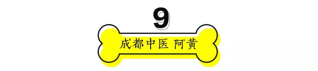 成都的十条网红狗，有的住豪宅穿名牌，比人活得还巴适