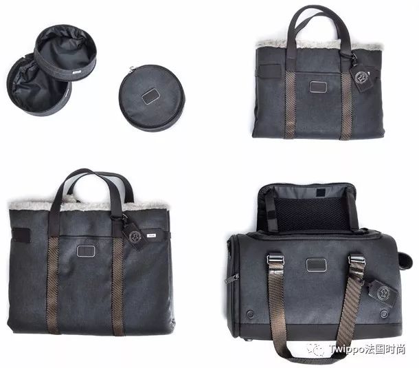 吐槽完了狗年单品，你给你的狗主子买了什么？