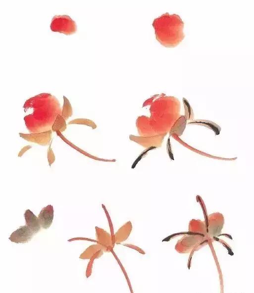 果果小写意牡丹画法教学视频,王绣写意牡丹画法零基础视频