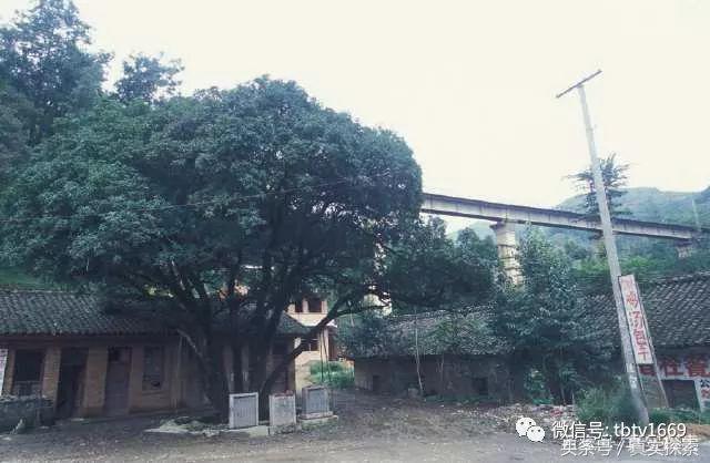 汉水源头南源,汉江南水北调的源头