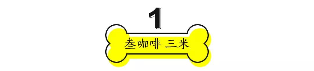 成都的十条网红狗，有的住豪宅穿名牌，比人活得还巴适