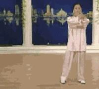 太极二十四式入门基本动作,太极入门学24式吗